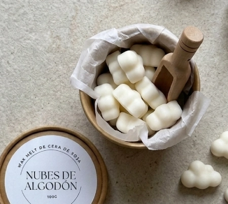 IMG_4671 Wax melts kits para perfumar